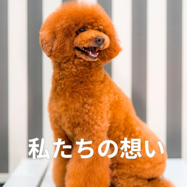 心を込めた商品開発