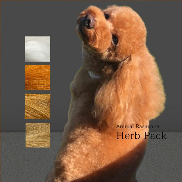 Ayurveda SIMcolor 動物用ハーブパック レッド 1kg アニマルラサーヤナハーブパック ビビッドレッド1kg | LoveLove
